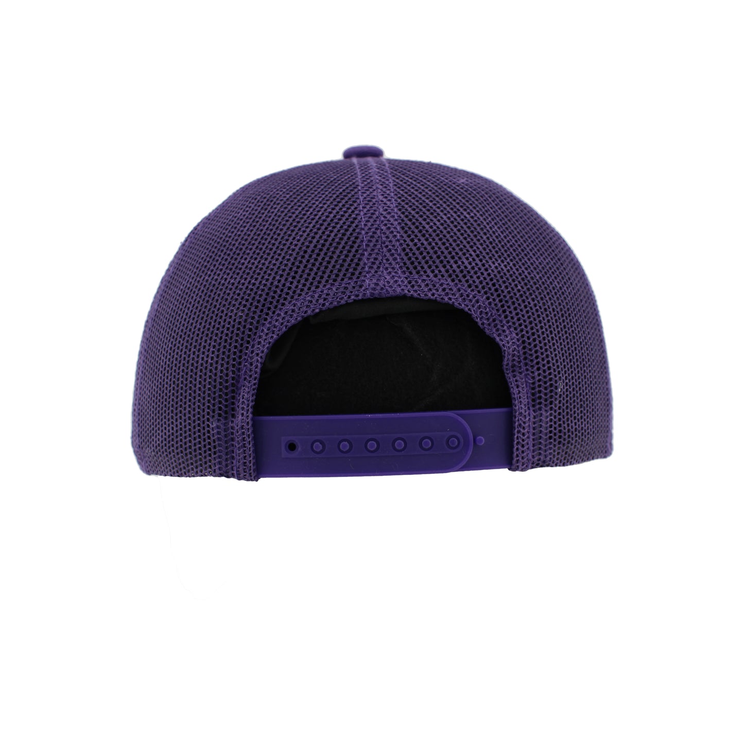 Greensboro Gargoyles Asset Purple Dassie Puff Hat