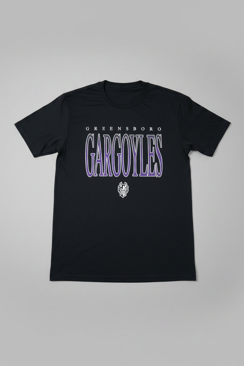 Gargoyles District Triblend Black Vintage 15 T-shirt
