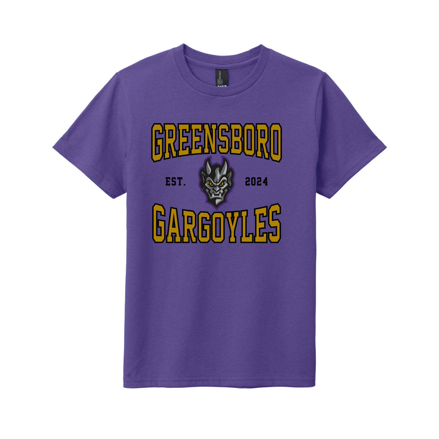Greensboro Gargoyles Youth Face Established Graphic T-shirt in Purple