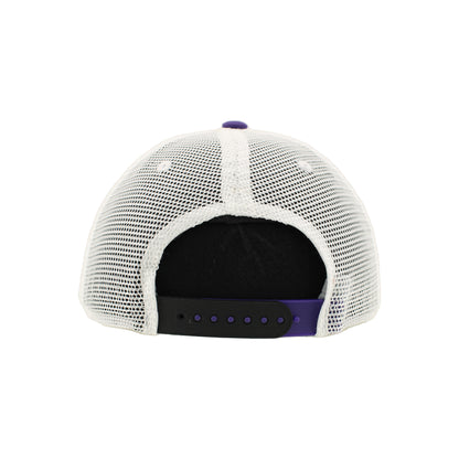 Greensboro Gargoyles Champ Black/Stone Netting 3D SP Hat