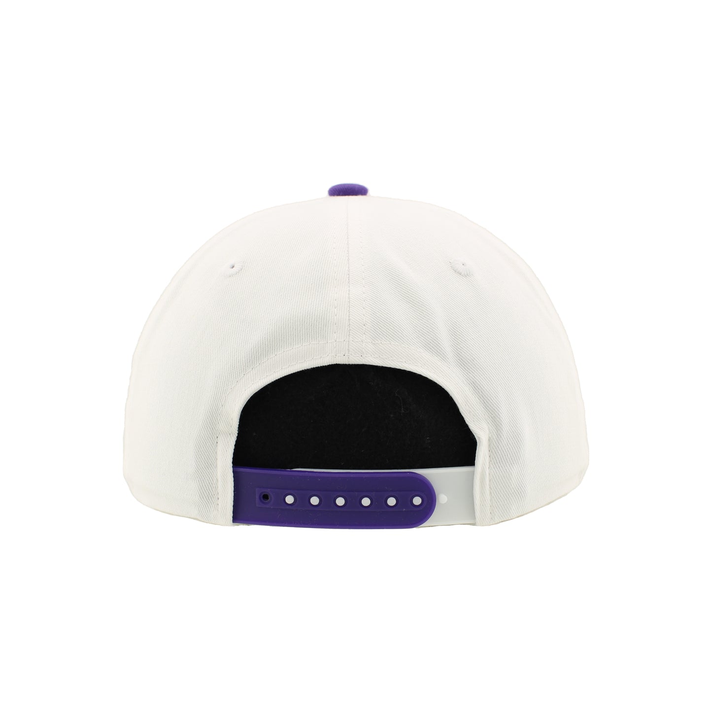Greensboro Gargoyles Apex White/Purple District 3D Hat