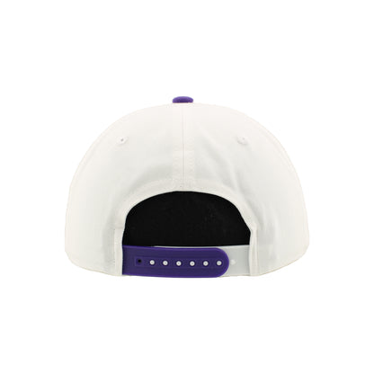 Greensboro Gargoyles Apex White/Purple District 3D Hat