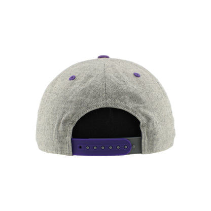 Greensboro Gargoyles Highcut Med Grey Suit/Black Official 3D Flat Bill Hat