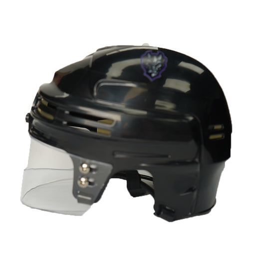 Greensboro Gargoyles Black Secondary Mini Helmet