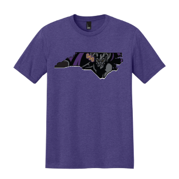 Gargoyles Purple State GSO T-Shirt